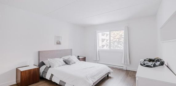 Appartement 3 ½ à louer Sainte-Foy / Sillery juillet 2026 - Photo 2