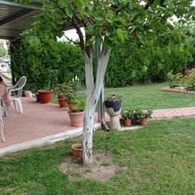 Διαμέρισμα για ενοικίαση - Γιάννουλη, - Photo 1