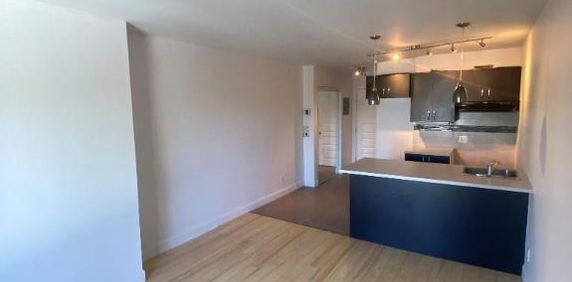 1 CH - 1 SDB - Montréal - $1,195 /mo - Photo 2