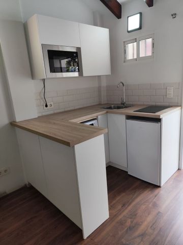 Alquiler de estudio en Calle Torre de San Telmo, 14 - Photo 3