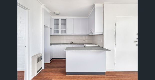 Light Filled 1 Bedroom Apartment ! - Photo 1