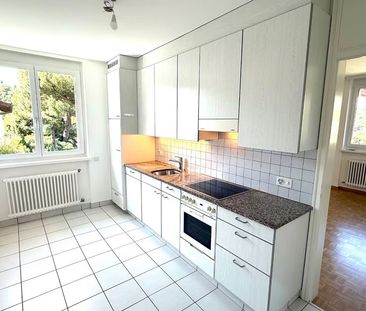 2.5 Zimmer, 55 m² - Photo 1