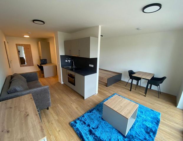 Möbilierte 1-Zimmer-Wohnung zum Erstbezug in Nürnberg Kohlenhof - Foto 1