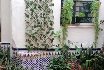 Alquiler de estudio en pasquin, 25