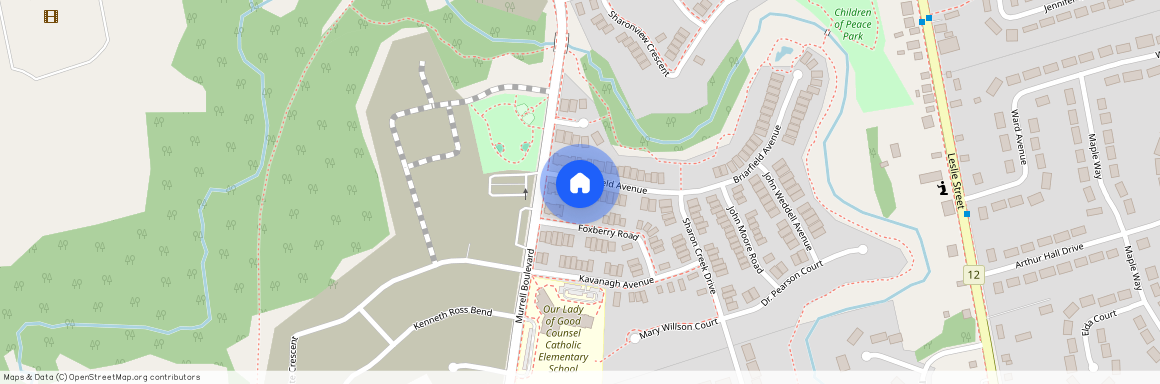 17 Briarfield Avenue #Bsmt, East Gwillimbury, Sharon