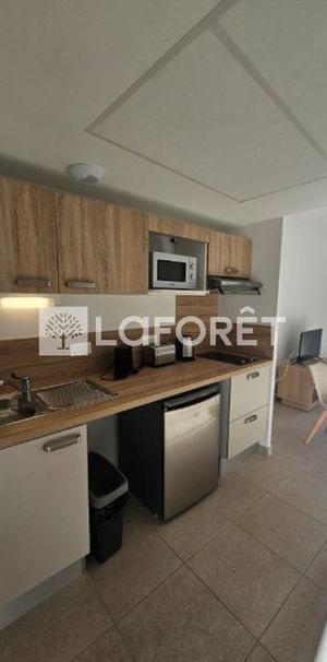 Appartement T1 près de LE CAP D AGDE à louer - Photo 2