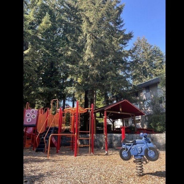 Blueridge Apartments - Photo 1