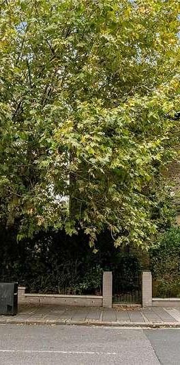 Evering Road, London, E5 - Photo 1