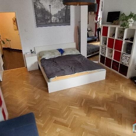 Schöne Singlewohnung sucht langfristige/n Mieter/In - Photo 1