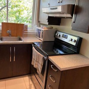 1 CH - 1 SDB - Montréal - $1,290 /mo - Photo 2