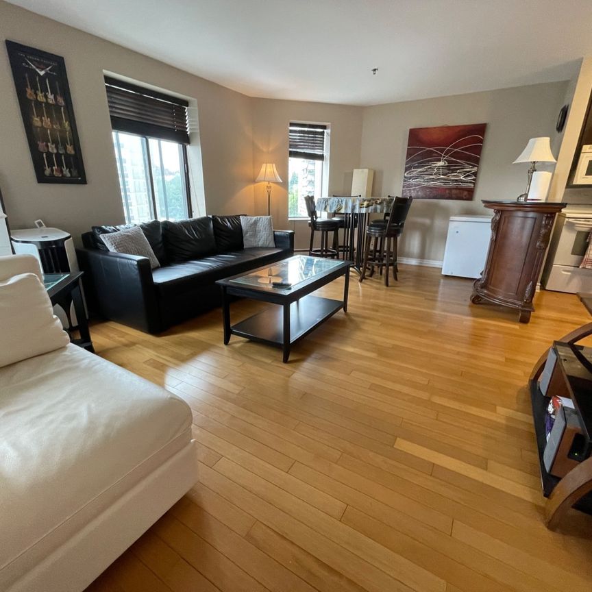 3465 Ch. de la Côte des Neiges, Montréal (Ville-Marie), QC H3H - Photo 1