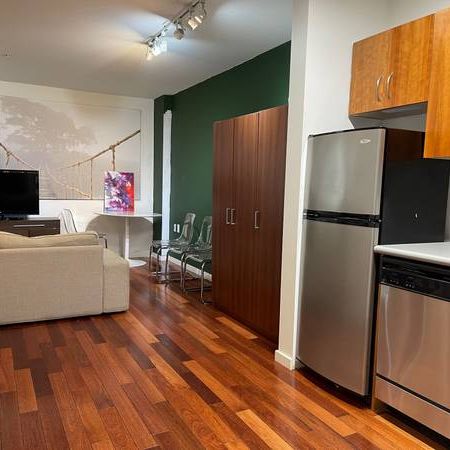 Furnished 1 Bedroom Waterfront Station 440 Richards-Available Oct 1st - Photo 3