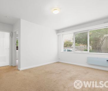 1/91 Grosvenor Street, St Kilda East VIC 3183 - Apartment For Rent ... - Photo 3