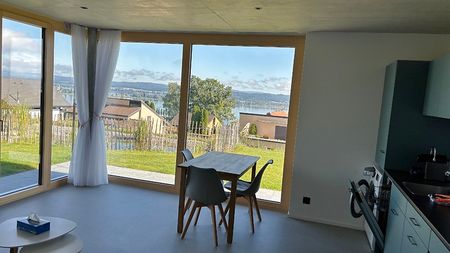 2 Zimmer-Wohnung in Ermatingen (TG), möbliert, auf Zeit - Foto 3