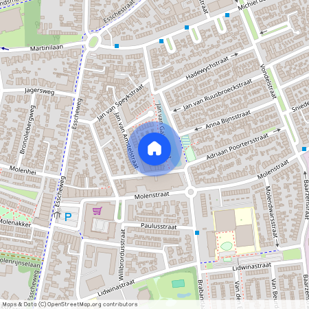Jan van Amstelstraat 93, 5262 CP Vught