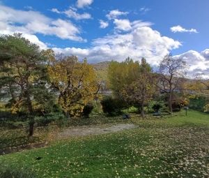 Location Appartement à ST MARTIN D HERES - Photo 5