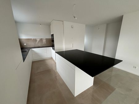 New 5.5-room luxury villa with garden – Ecublens (VD) - Photo 5