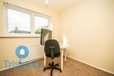Wollaton Paddocks, Nottingham - Photo 2