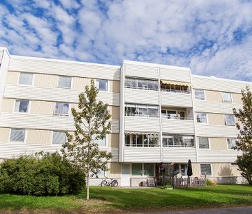 Hamnplan 6 A, 94161, Piteå - Foto 2