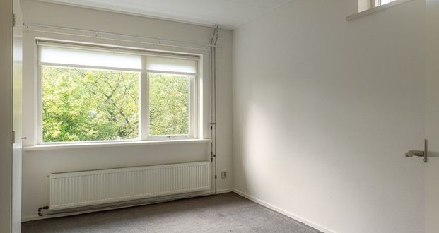 Te huur: Huis 't Hou 2 A in Langezwaag - Photo 1