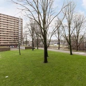 Langswater 0ong, 1069 Amsterdam, Nederland - Photo 1