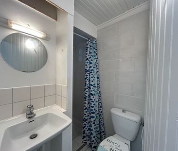 Location Appartement 1 pièce 20m² - Photo 4