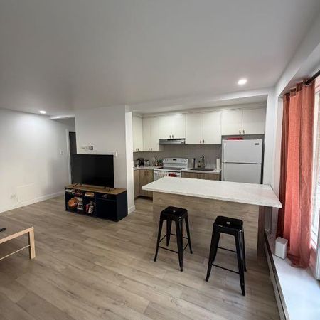 3 1/2 au coeur de Montcalm - Photo 4
