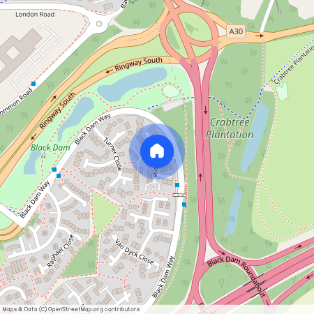 Hogarth Close, Basingstoke RG21