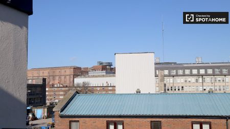 Cosy 1-bedroom apartment available to rent in Dublin - Photo 5