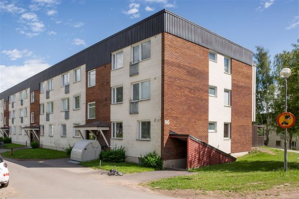 Rotundan 6 - Photo 1