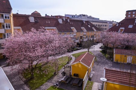 Luntgatan, Norrköping - Foto 4