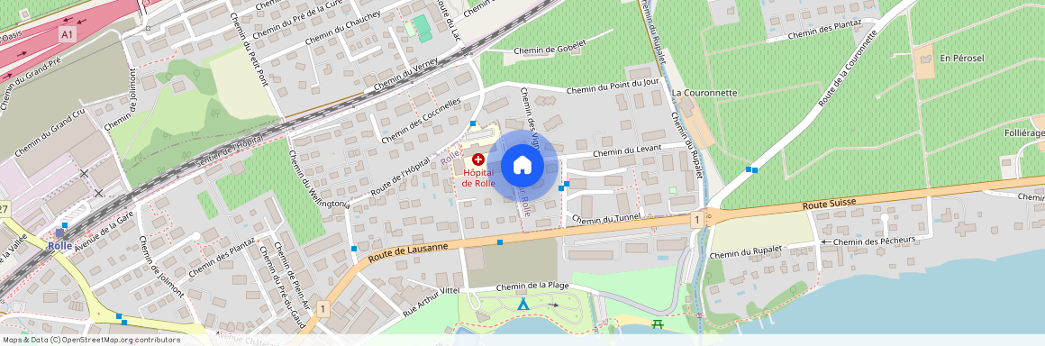 1185, Mont-sur-Rolle, Chemin De Bellefontaine, 8