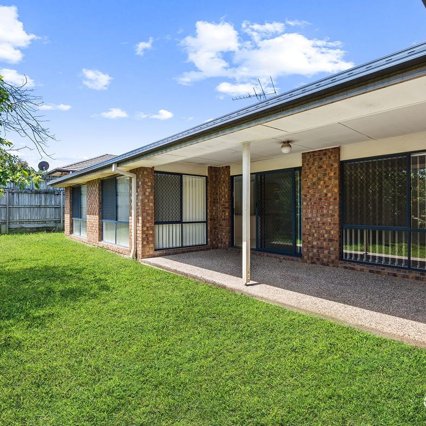 SPACE SPACE AND MORE SPACE - Photo 1