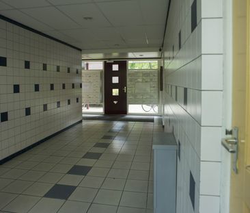 Symphoniesingel - Photo 3