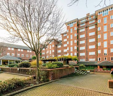 Studio to rent - Photo 6