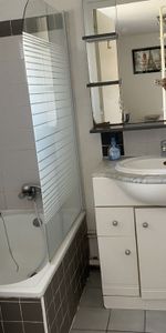 Location Appartement 1 pièce 18m² GRENOBLE 38000 - Photo 4