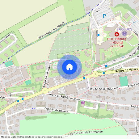 Chemin de la Redoute 7, 1752 Villars-sur-Glâne