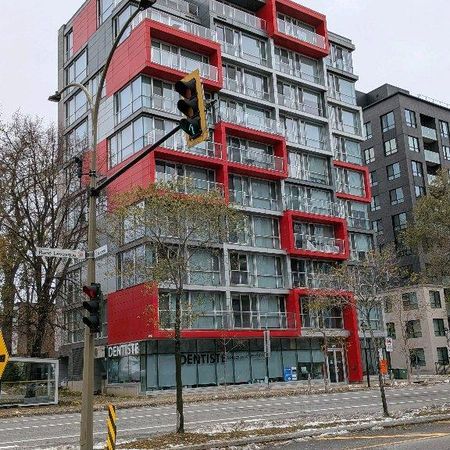 Cession de bail - 3 1/2 - Ville-Marie (Sud du Village) - Photo 3