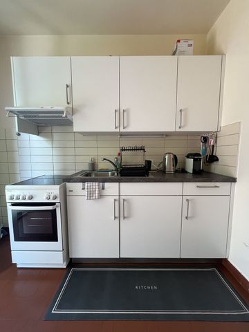 2-ROOM APARTMENT IN GENEVA - PLAINPALAIS/ACACIAS, FURNISHED, TEMPORARY RENTAL - Photo 3