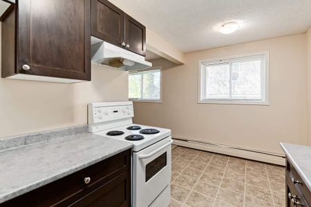 Renovated Suite - 2 Bedroom - Photo 4