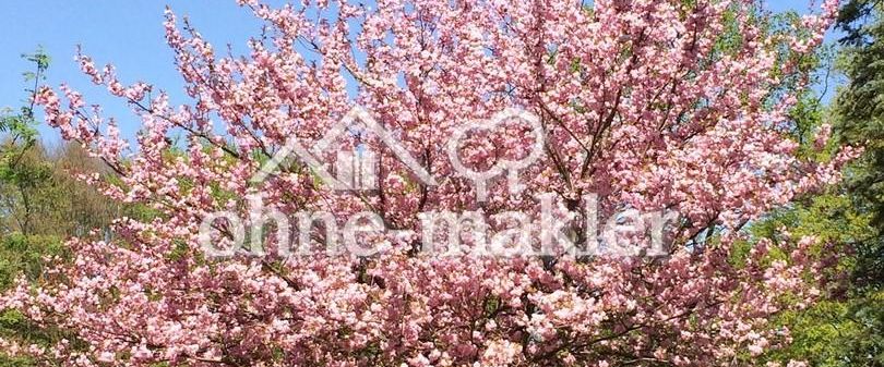 = OHNE MAKLER = AB SOFORT FREI - ruhige und möblierte WG-Zimmer = furnished rooms = - Foto 1