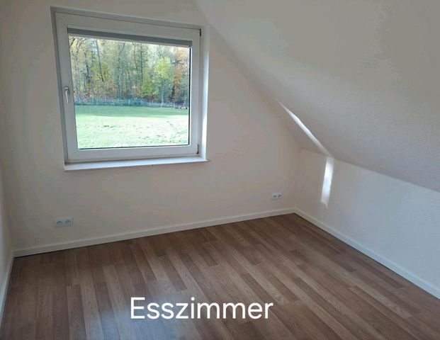 Helle 4,5 Zimmer-Wohnung in Seelze (Lohnde) zu vermieten - Foto 1