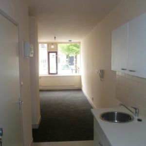 Te huur een leuke studio op een toplocatie aan de Wittevrouwensingel te Utrecht - Photo 2