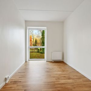 Hollænderen 4, 2. TH - Foto 2