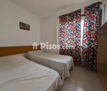 Piso en alquiler en Carrer d'Enrico Caruso - Photo 3