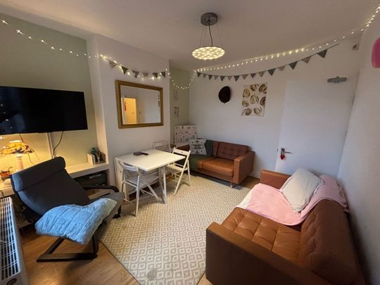 19 Chestnut Street- New to the Market & Ideally placed Loughborough - Photo 1