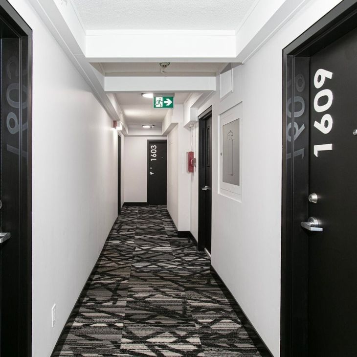 Appartement à louer - Montréal (Le Plateau-Mont-Royal) (Le Plateau-Mont-Royal) Appartement à louer - Montréal (Le Plateau-Mont-Royal) (Le Plateau-Mont-Royal) - Photo 1