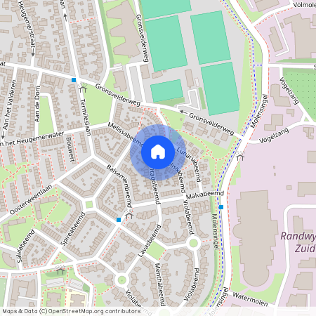 Plantagobeemd, Maastricht