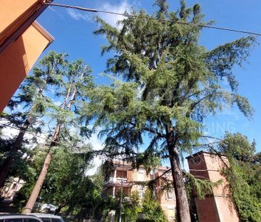 Appartamento Bologna [cimaARG] (Murri) - Photo 6
