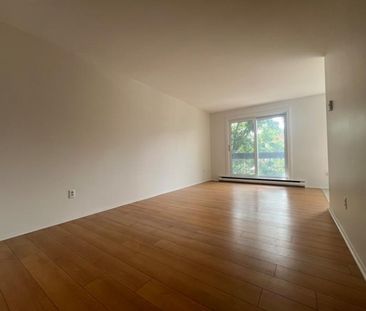 Appartement 1 chambre — 1 mois gratuit ! - Photo 1
